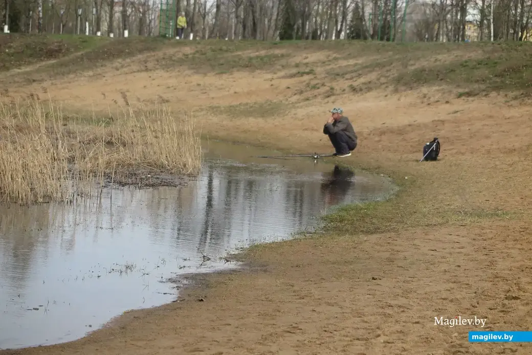 Апрель 2023 г. Могилев, берег рядом со Святым озером. Фото автора.