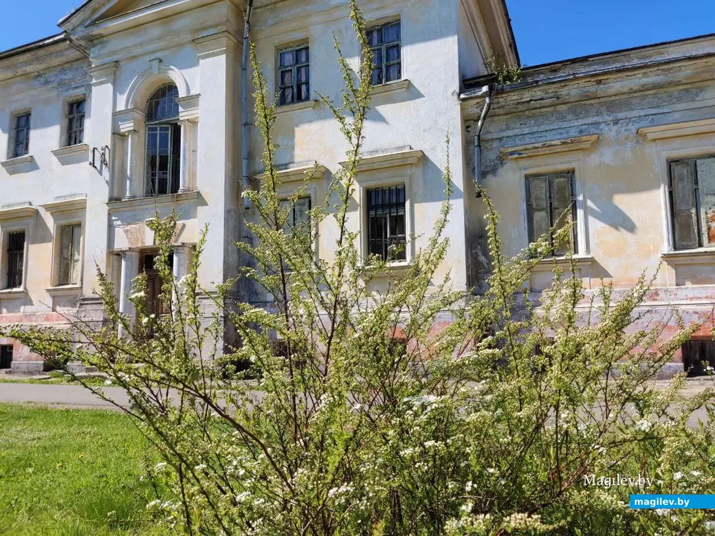 Усадьба графа Толстого. Агрогородок Грудиновка, Быховский район. Май 2023 г.