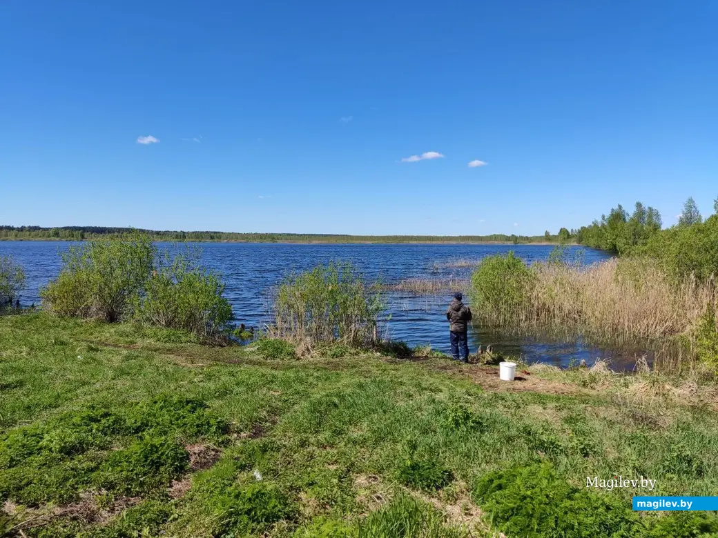 На озере в районе деревни Годылево Быховского района. Май 2023 г.