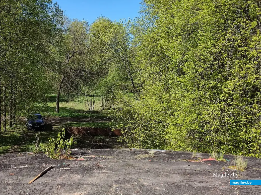 Вот такой вид на парк и двор усадьбы открывается с верхней террасы. Усадьба графа Толстого. Агрогородок Грудиновка, Быховский район. Май 2023 г.