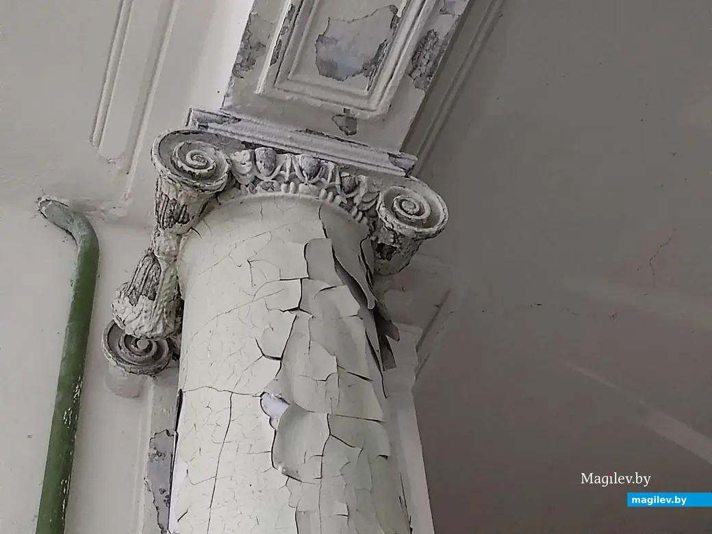 Эти колонны когда-то были настоящим украшением внутренних покоев. Усадьба графа Толстого. Агрогородок Грудиновка, Быховский район. Май 2023 г.
