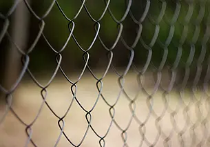 Как спрятаться за сеткой-рабицей от любопытных взглядов соседей: удачный вариант