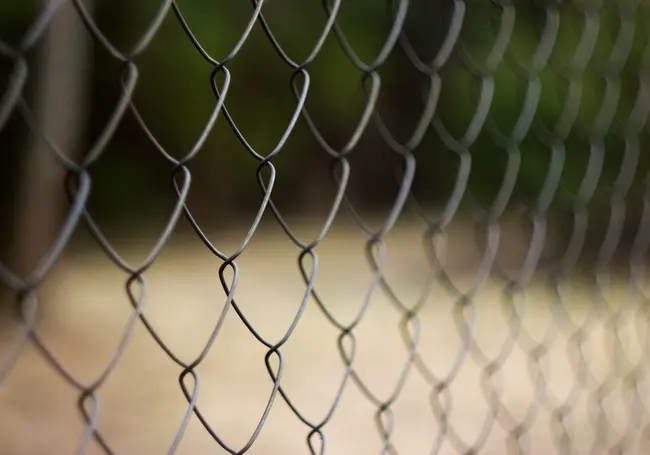 Как спрятаться за сеткой-рабицей от любопытных взглядов соседей: удачный вариант