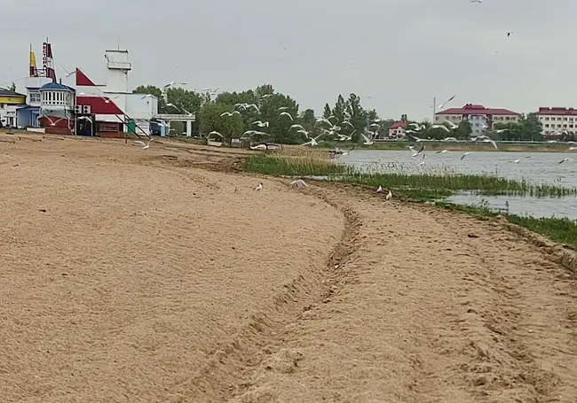 Скамейки покрашены, а «грибки» просятся в ремонт: побывали на пляже у Святого озера