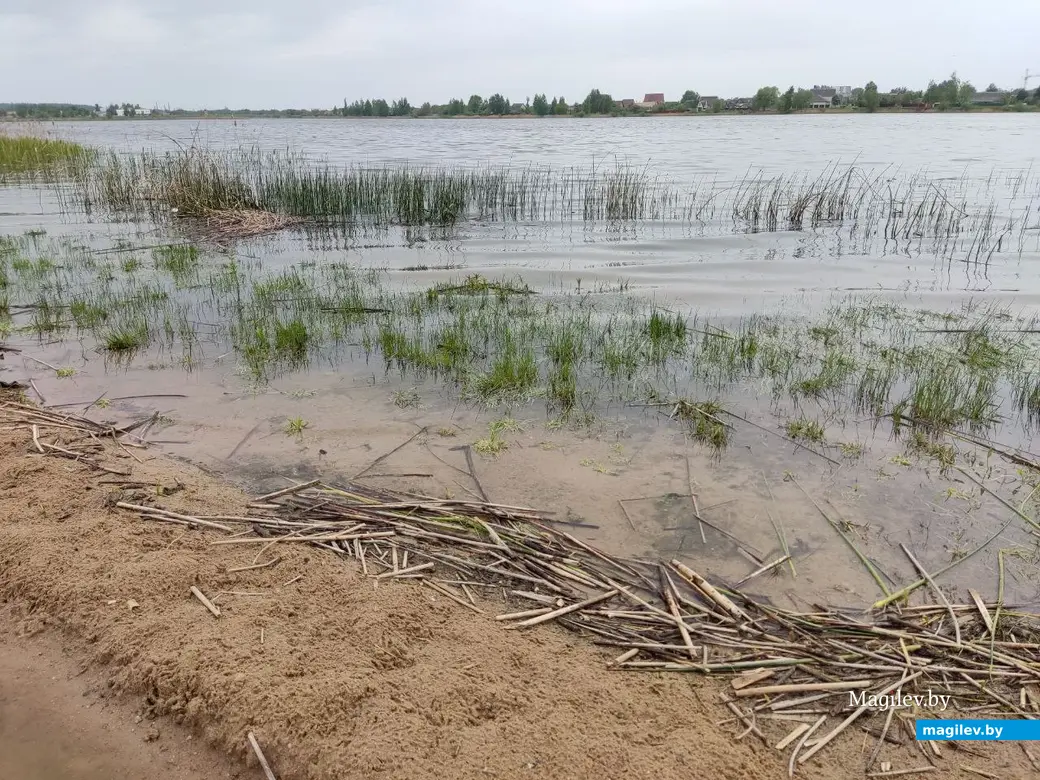 Пляж на Святом озере (Гребенеское водохранилище). Могилев, 17.05.2023 г.