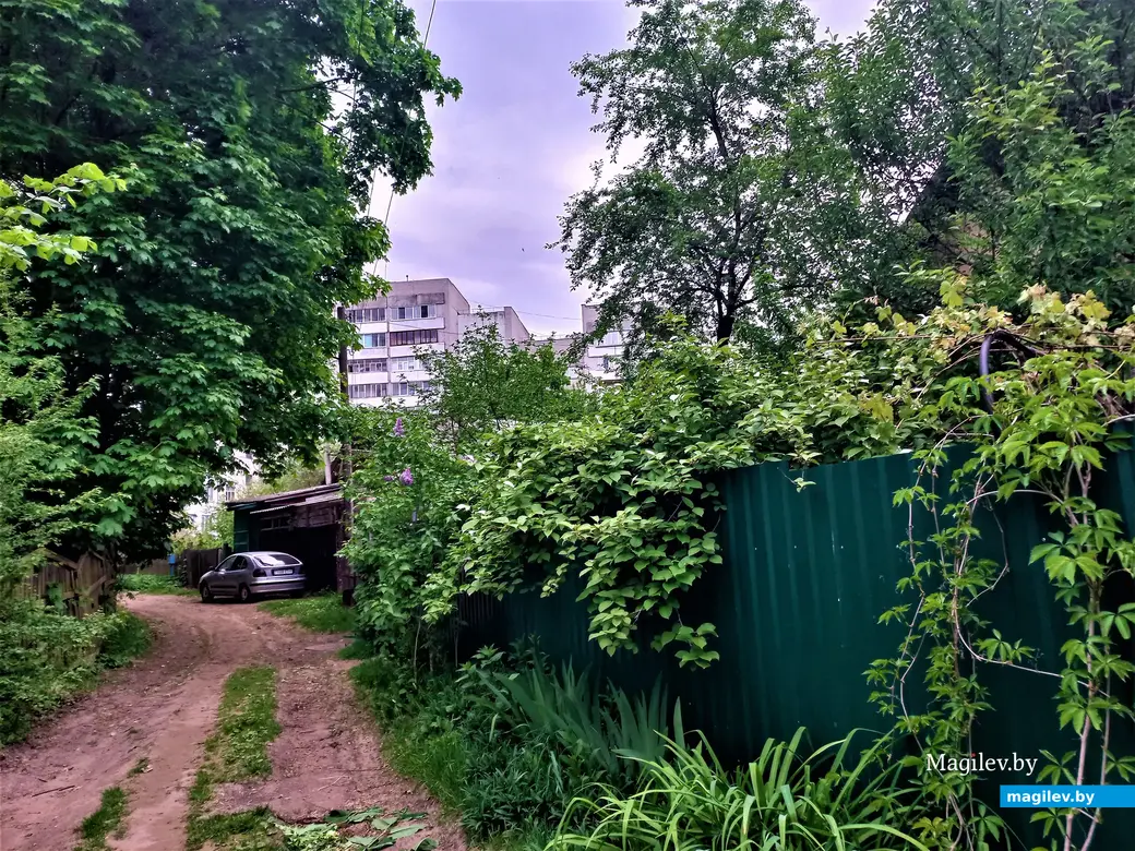 Волшебный уголок Майского жука. Могилев. 17.05.2023 г.