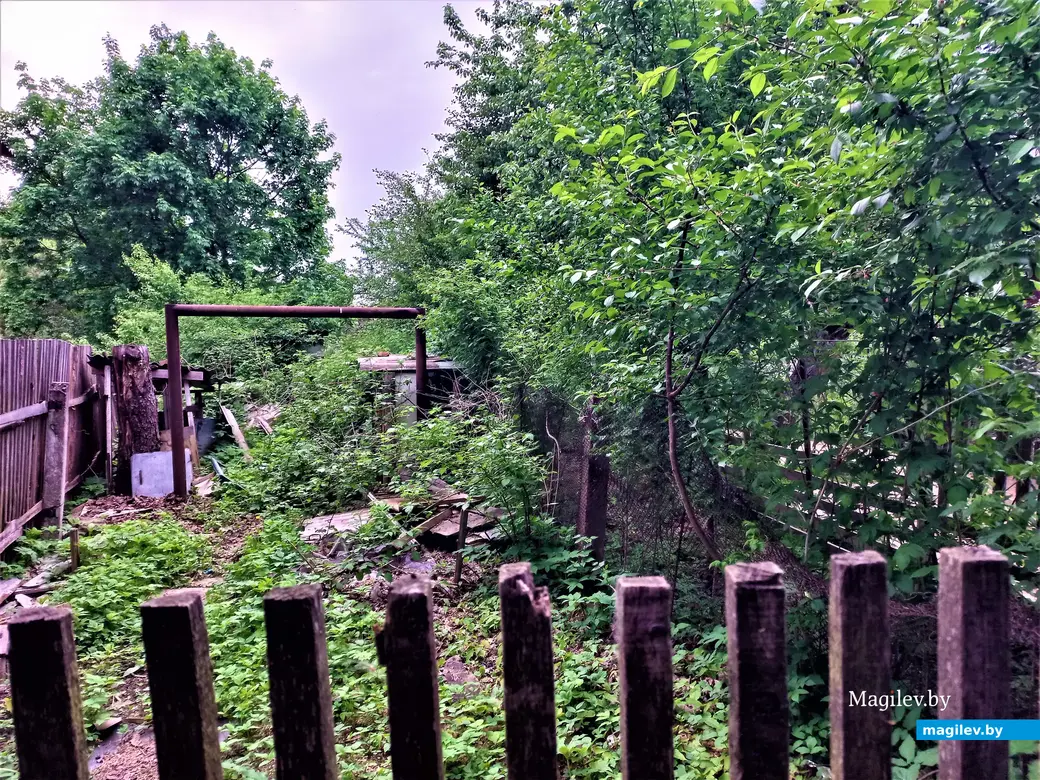 Волшебный уголок Майского жука. Могилев. 17.05.2023 г.