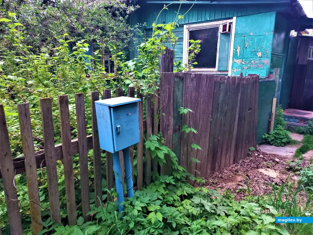 Волшебный уголок Майского жука. Могилев. 17.05.2023 г.