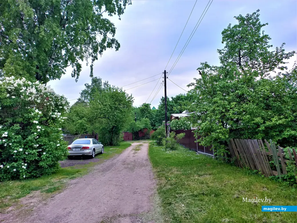 Волшебный уголок Майского жука. Могилев. 17.05.2023 г.