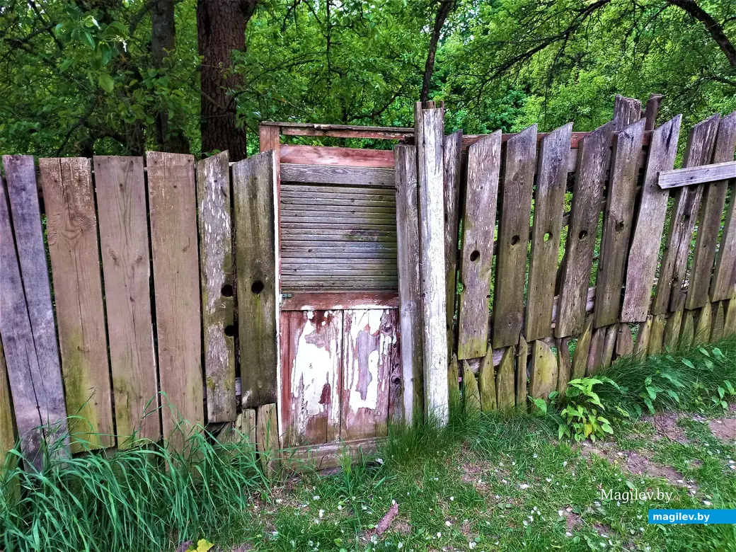 Волшебный уголок Майского жука. Могилев. 17.05.2023 г.