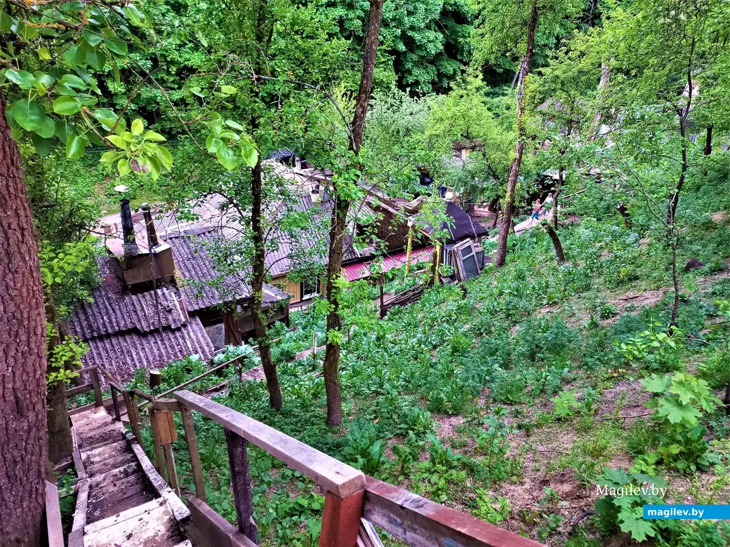 Волшебный уголок Майского жука. Могилев. 17.05.2023 г.