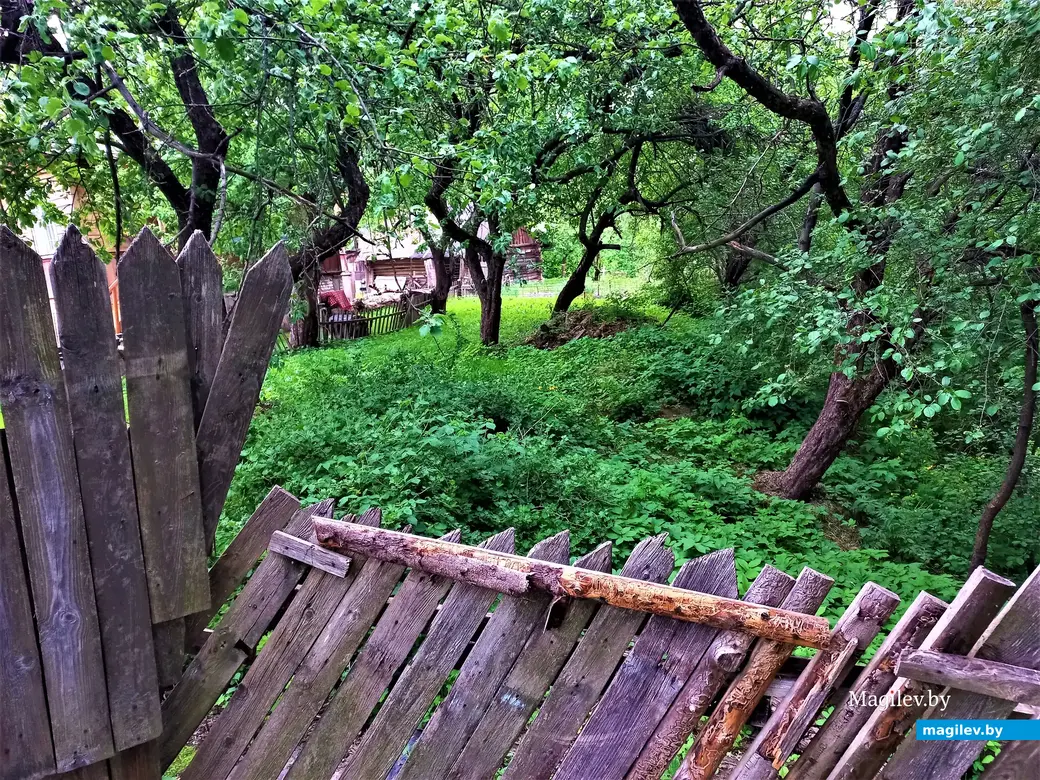Волшебный уголок Майского жука. Могилев. 17.05.2023 г.