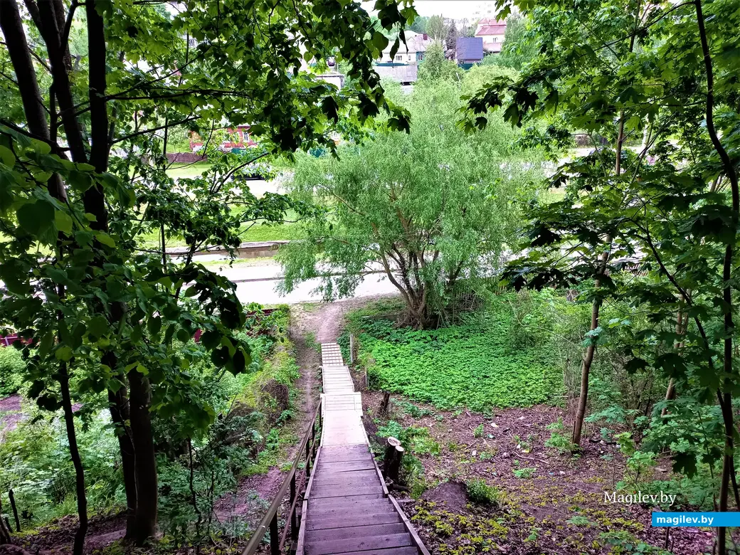 Волшебный уголок Майского жука. Могилев. 17.05.2023 г.