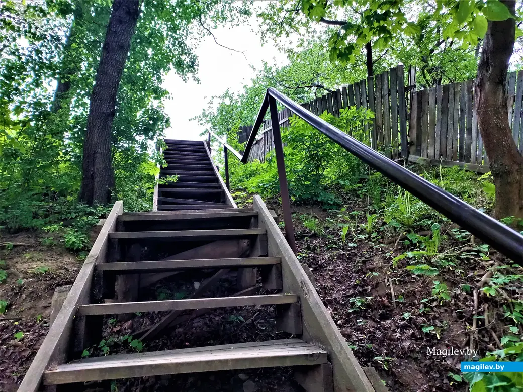 Волшебный уголок Майского жука. Могилев. 17.05.2023 г.