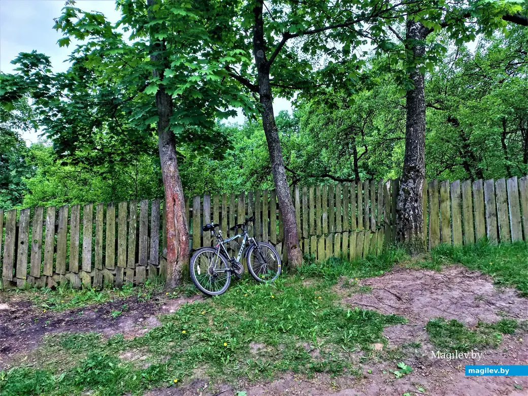 Волшебный уголок Майского жука. Могилев. 17.05.2023 г.