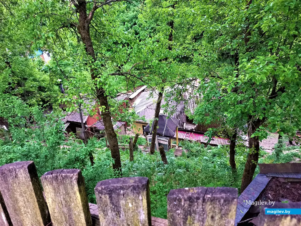 Волшебный уголок Майского жука. Могилев. 17.05.2023 г.