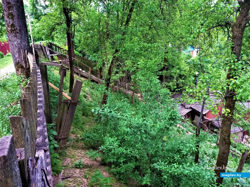 Волшебный уголок Майского жука. Могилев. 17.05.2023 г.