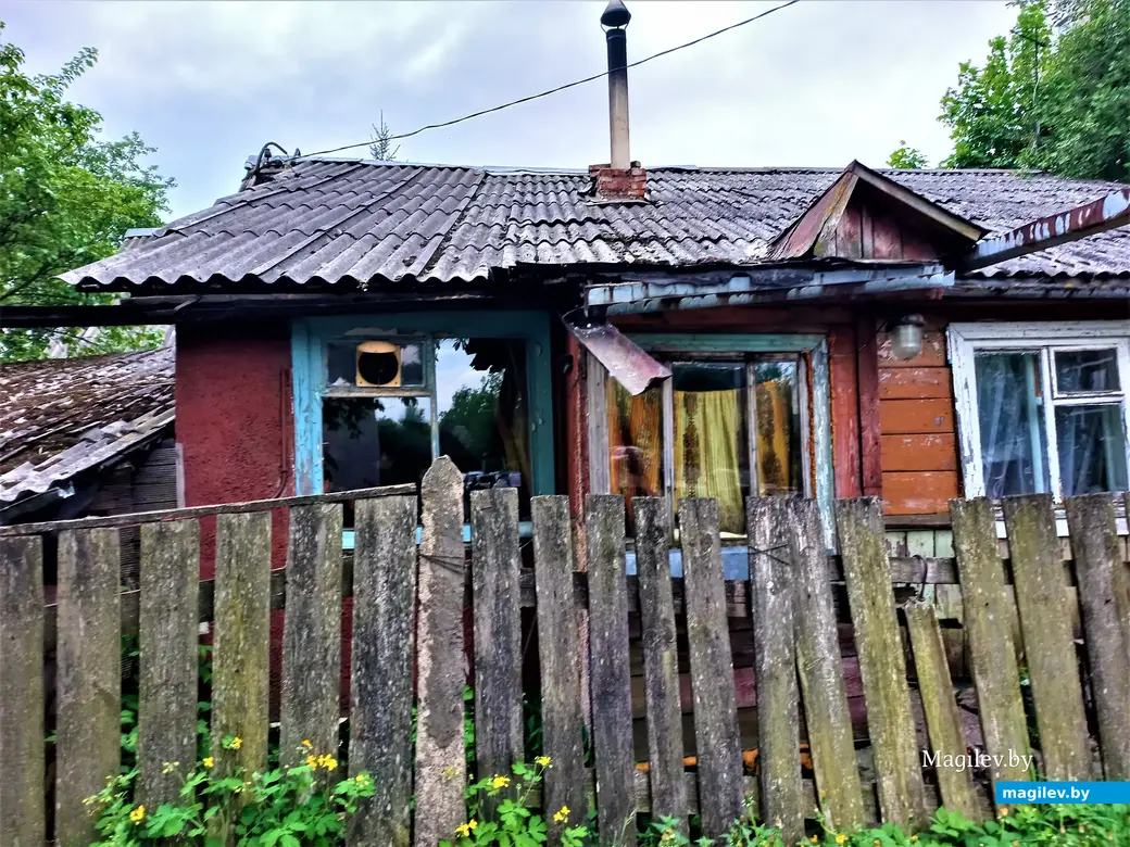 Волшебный уголок Майского жука. Могилев. 17.05.2023 г.