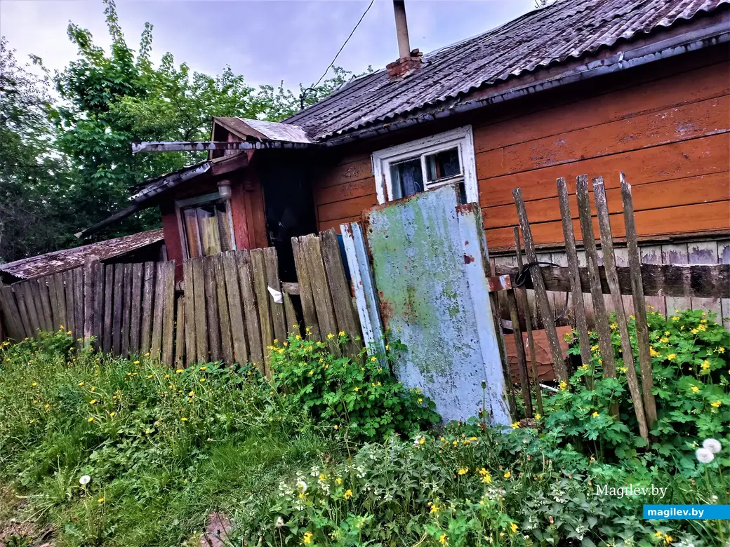 Волшебный уголок Майского жука. Могилев. 17.05.2023 г.