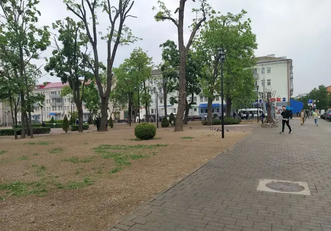 Сквер Герцена стал официально Театральным, а Витебский тупик не переименовали: в Могилеве состоялось заседание топонимической комиссии