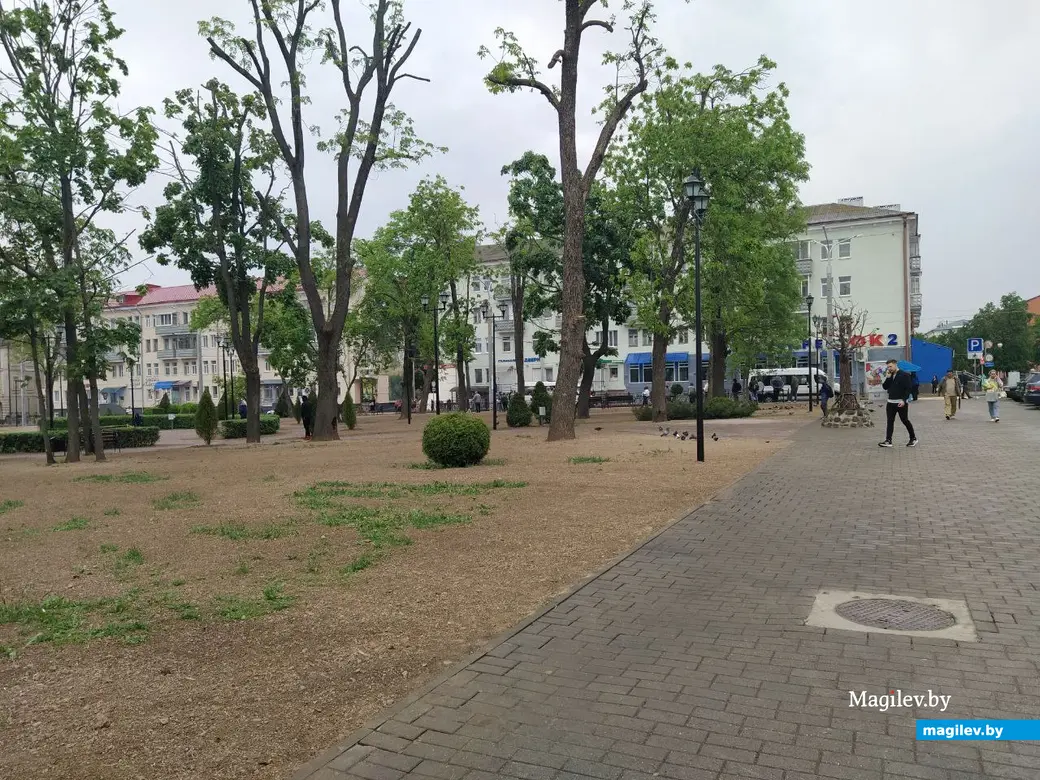 Сквер Герцена стал официально Театральным, а Витебский тупик не  переименовали: в Могилеве состоялось заседание топонимической комиссии |  magilev.by