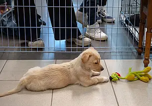 Ожидания оправдались, но руки временами опускаются