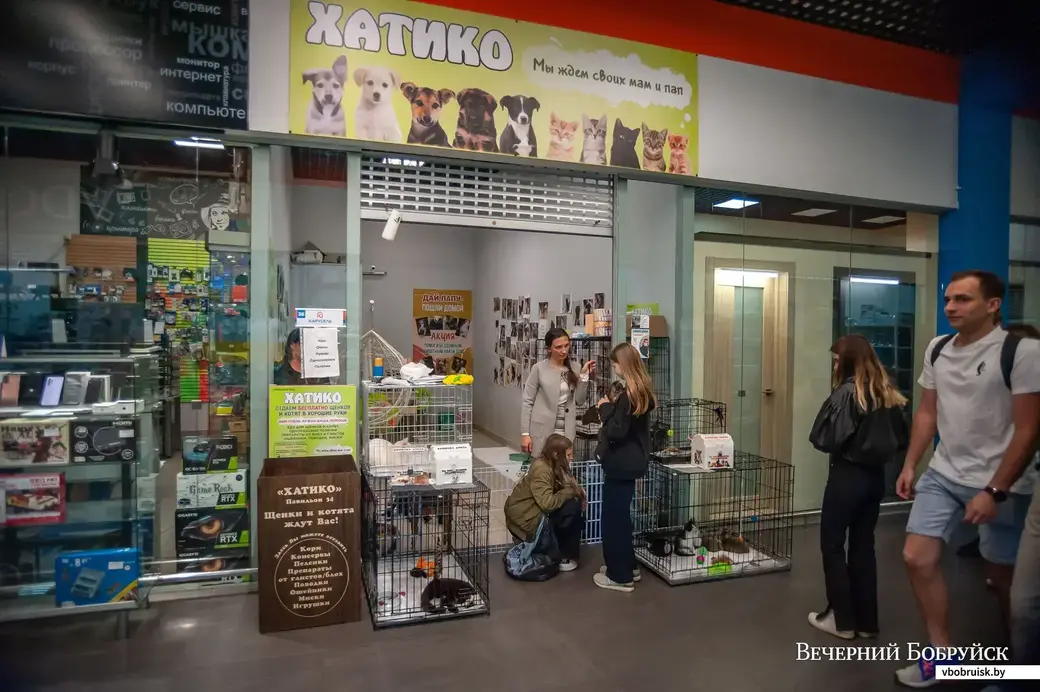 Бобруйск. Зоопавильон «Хатико» в ТЦ «Карусель».