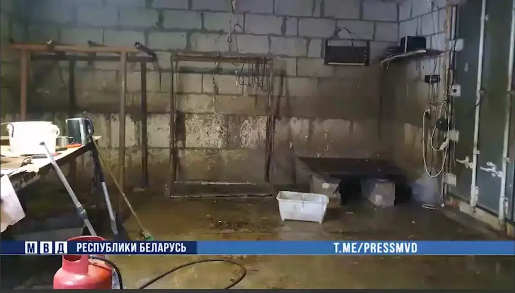 Подпольный мясокомбинат ликвидирован в Могилевском районе.