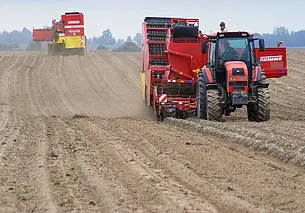 Белгидромет: верхний слой почвы на большей части территории Беларуси увлажнен слабо