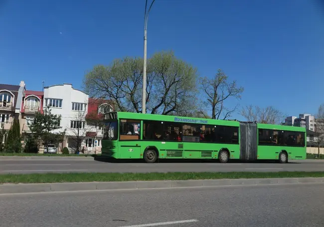 Автобусы в Могилеве с 10 июня станут ходить реже. Посмотрите, какие рейсы сократят
