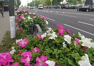 Ночью 28 мая на отдельных территориях Беларуси ожидаются заморозки до -2