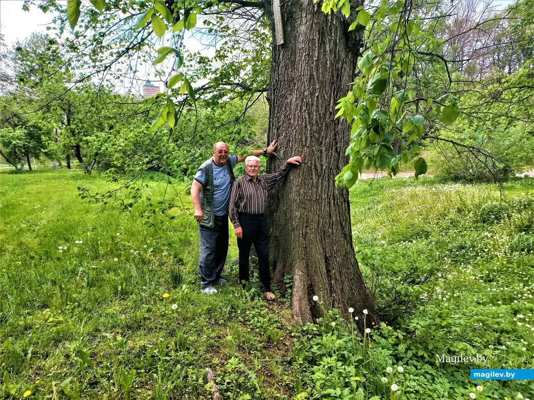 Александр и Владимир возле дерева своего племянника Лени. Могилев, май 2023 года.