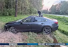 Встреча с лосем на дороге Быховского района дороге закончилась травмированием 2 человек