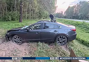 Встреча с лосем на дороге Быховского района дороге закончилась травмированием 2 человек