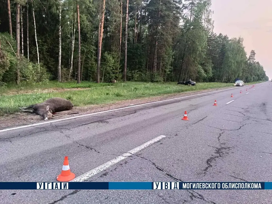 Инцидент произошел на 272-ой км автодороги Витебск-Гомель.