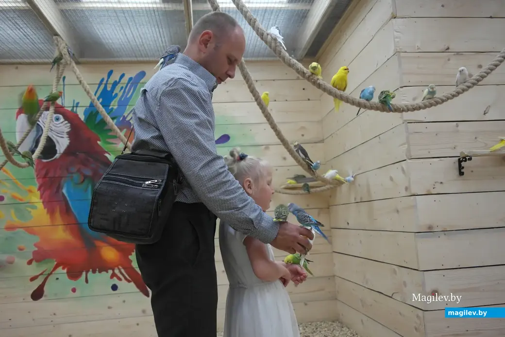 Попугайня, Могилев. 24.05.2023. Волнистых попугайчиков оказалось больше всего.