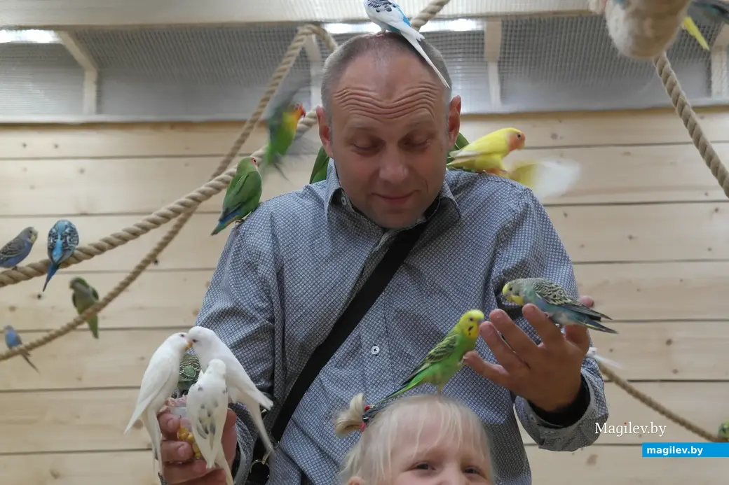 Попугайня, Могилев. 24.05.2023. «Из попугаев выходили то крылья ангела, то корона, то брошь, а то и разноцветное ожерелье».
