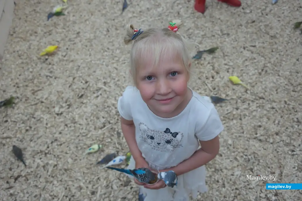 Попугайня, Могилев. 24.05.2023. Нужно внимательно смотреть под ноги, иногда попугайчики гуляют внизу.