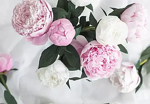 «Рабочий день длится 10-12 часов, за это время успеваю сделать один пион»