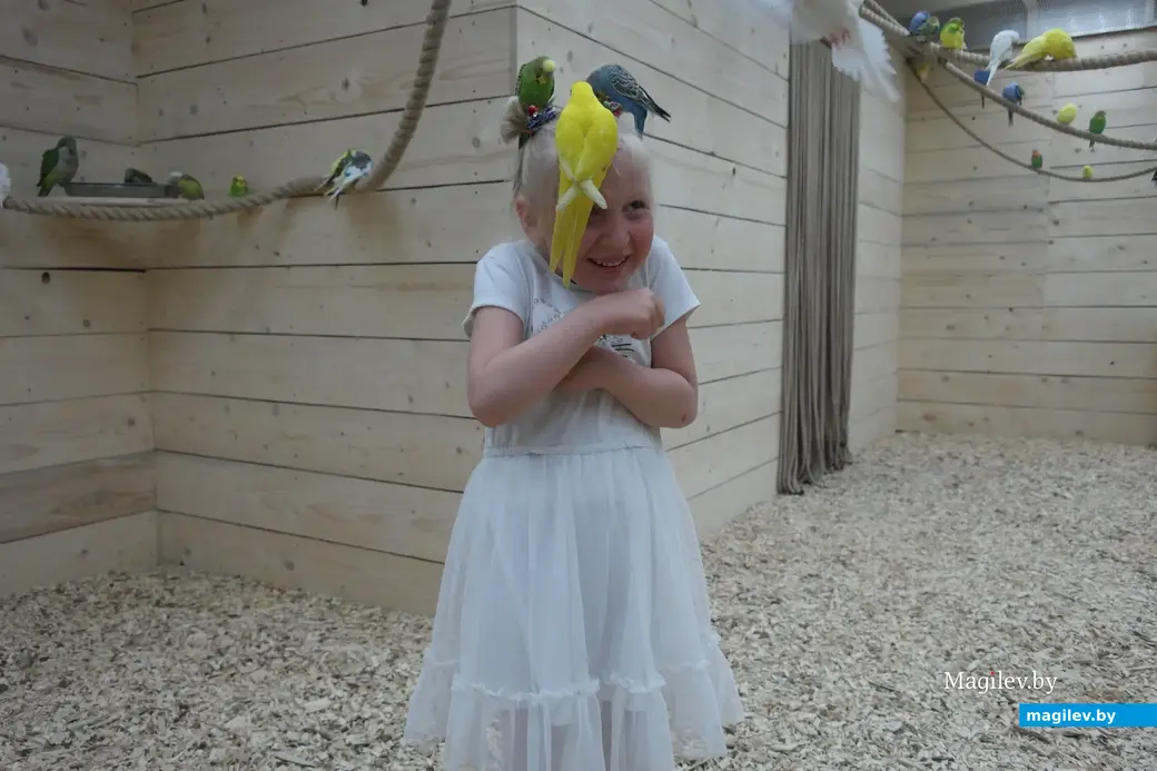 Попугайня, Могилев. 24.05.2023.