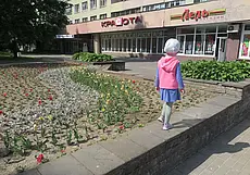 Посмотрите, какая красота: более миллиона цветов высадили в Могилеве. Но есть вопросы