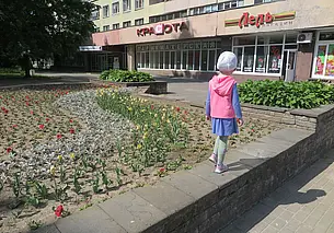 Посмотрите, какая красота: более миллиона цветов высадили в Могилеве. Но есть вопросы