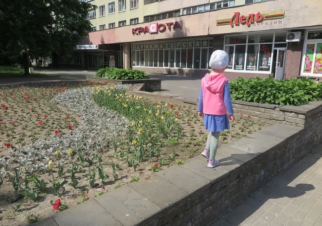 Посмотрите, какая красота: более миллиона цветов высадили в Могилеве. Но есть вопросы
