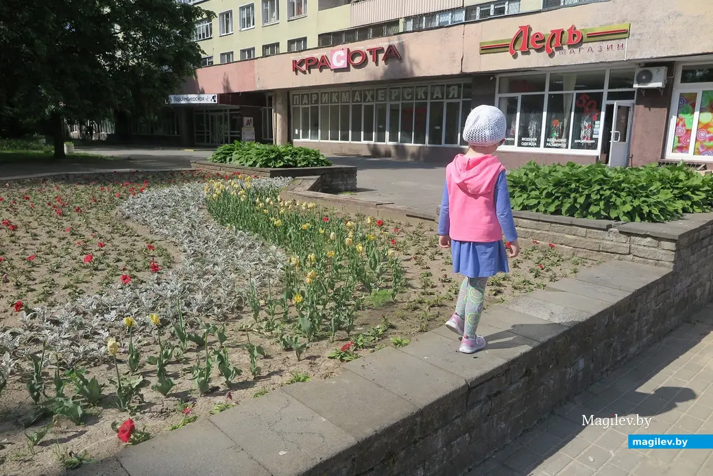 Май 2023 г. Могилев. Специалисты «Могилевзеленстрой» высадили более миллиона цветов в нынешнем году.