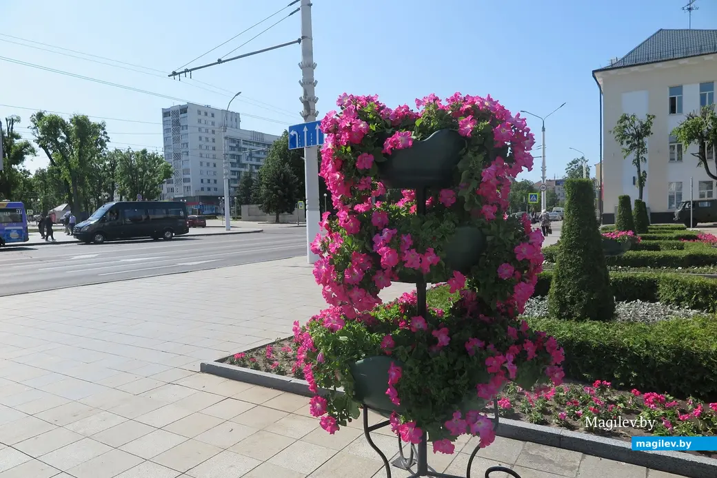 Май 2023 г. Могилев. Специалисты «Могилевзеленстрой» высадили более миллиона цветов в нынешнем году.