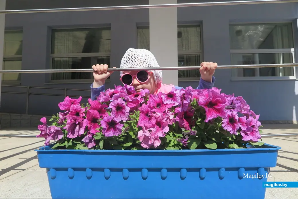 Май 2023 г. Могилев. Специалисты «Могилевзеленстрой» высадили более миллиона цветов в нынешнем году.