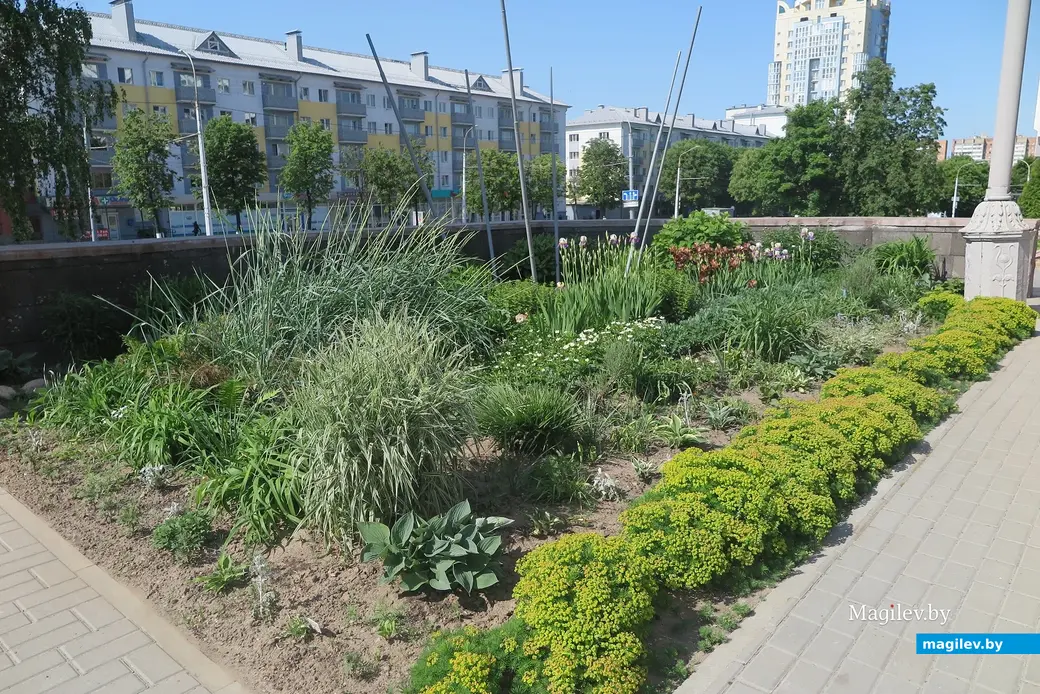 Май 2023 г. Могилев. Специалисты «Могилевзеленстрой» высадили более миллиона цветов в нынешнем году.