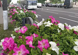 Мероприятие «Внимание – дети!»: за невыполнение требований – штрафа до 3 базовых величин