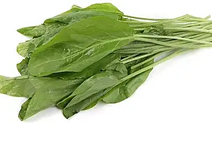 Что приготовить из щавеля помимо супа: простой рецепт необычайно вкусных слоек