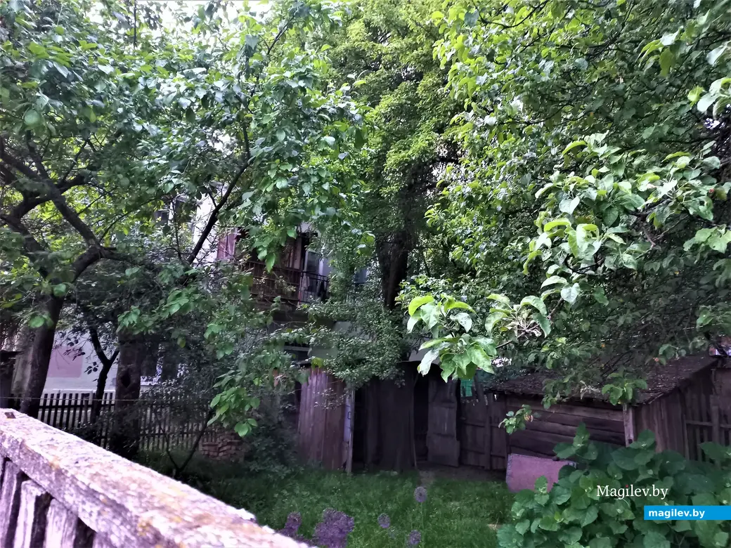 Луганский переулок так еще и не поведал нам все свои тайны. Могилев, 30.05.2023 г.